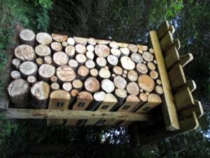 Nova urejena pot v Krajinskem parku Rački ribniki-Požeg 14